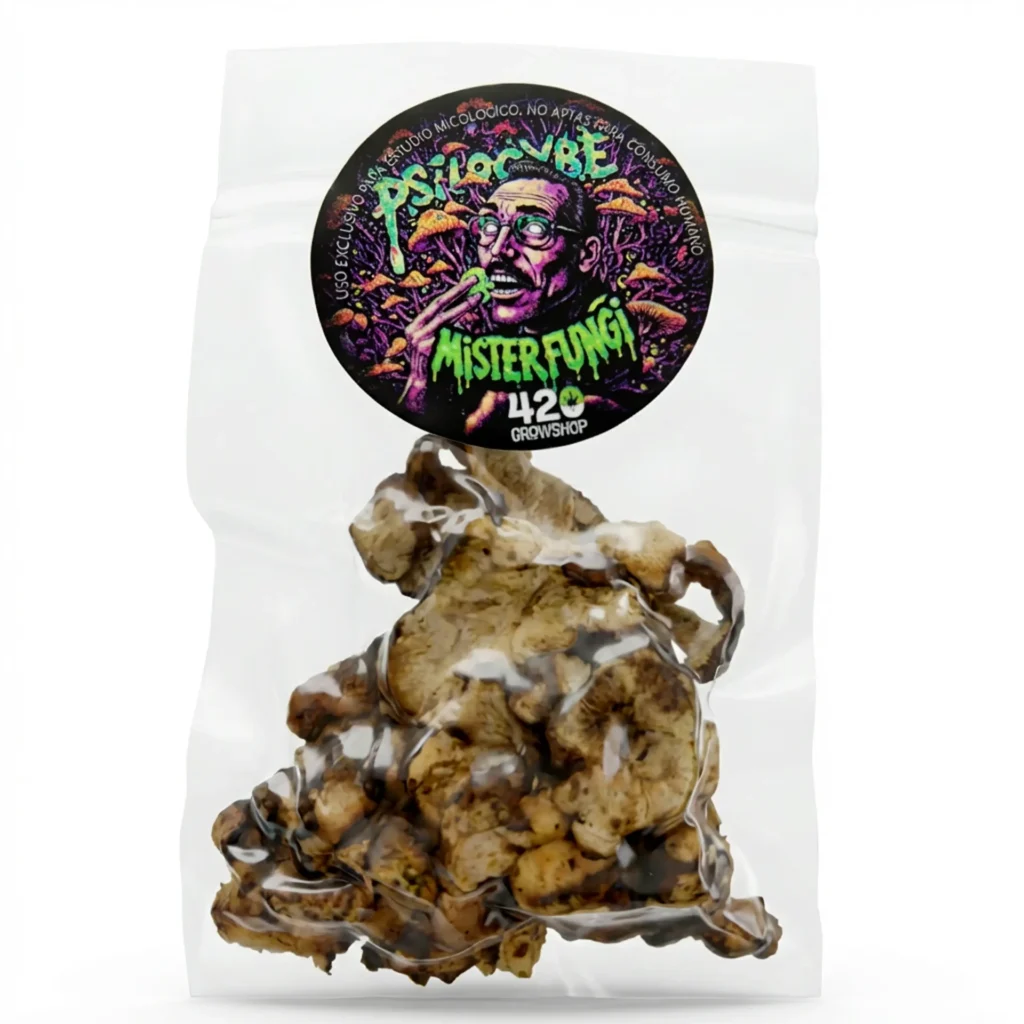 mister fungi