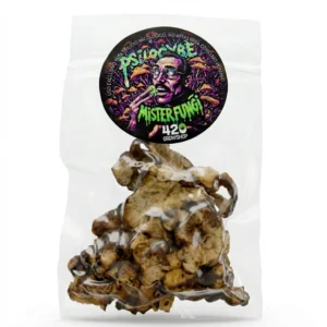 mister fungi