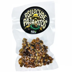 pajaritos