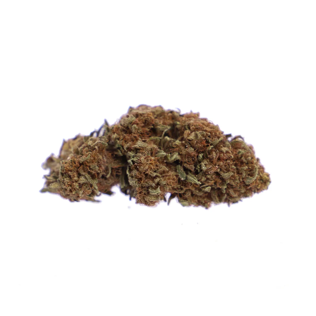 whitewidow3 scaled.jpg