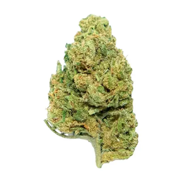 blue berry muffin 1