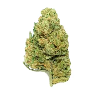 blue berry muffin