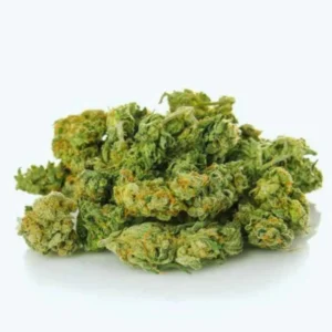 california haze flores.jpg